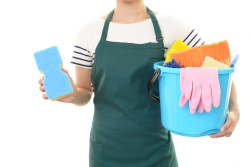Carpet cleaning service in an NW1 property
