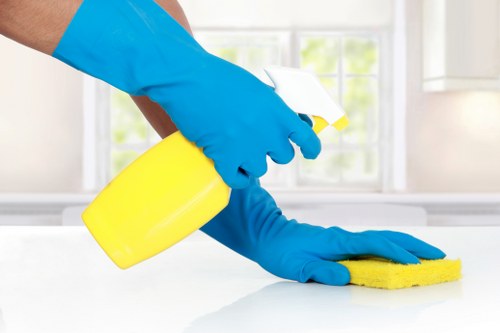 Professional window cleaning in NW1 for a bright residential property