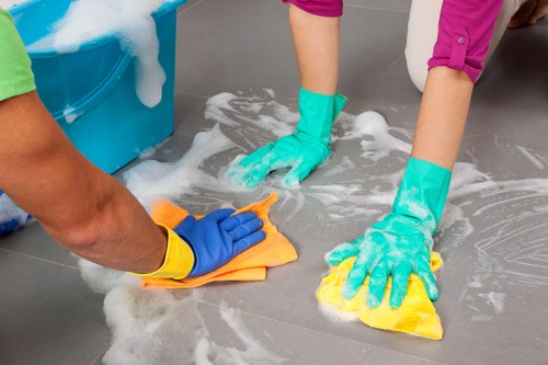 Professional carpet cleaning process removing deep dirt from fibres