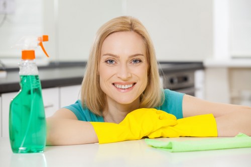 Secure Carpetcleaning Nw1 payment checkout with encryption