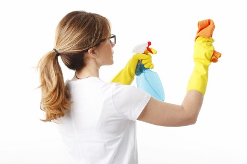 Cleaner inspecting a carpet before treatment