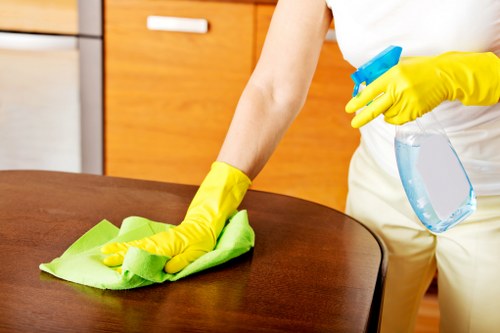 Local carpet cleaning equipment used in NW1 home